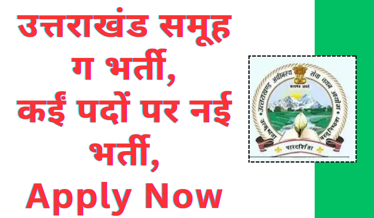 Uttarakhand Group C Vacancy 2024
