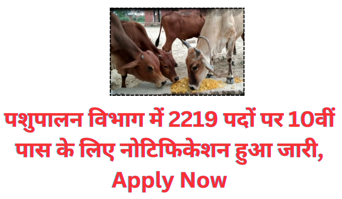 Pashupalan Vibhag Vacancy 2024