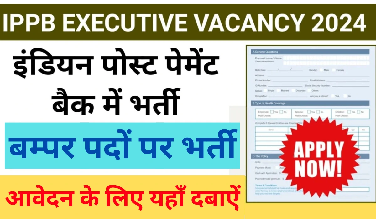 IPPB Executive Recruitment 2024