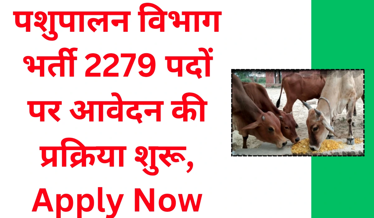 Pashupalan vibhag bharti 2024