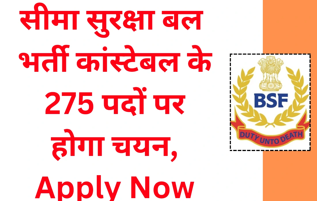 BSF Vacancy 2024